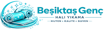 Beşiktaş Halı Yıkama 